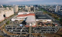 Showreel Exhibitions – 2019