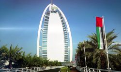 Showreel Business Forums – 2019