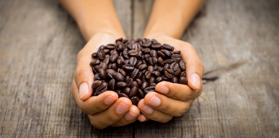 Construction documents