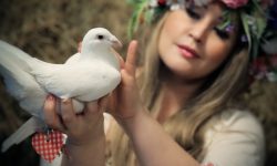 MUSIC VIDEO “BIRD STRENGTH”