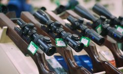 Exhibition “Hunting” – 2019